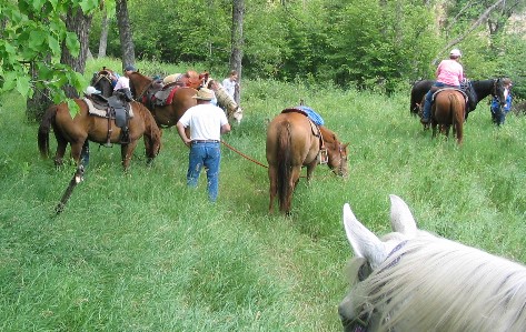 Fort Ransom Trail Ride