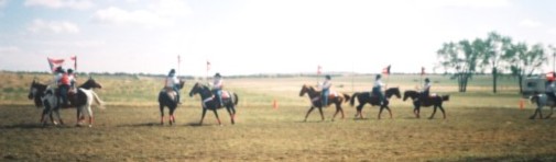 Pumpkin Patch Performance