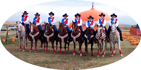 Pumpkin Patch Performance